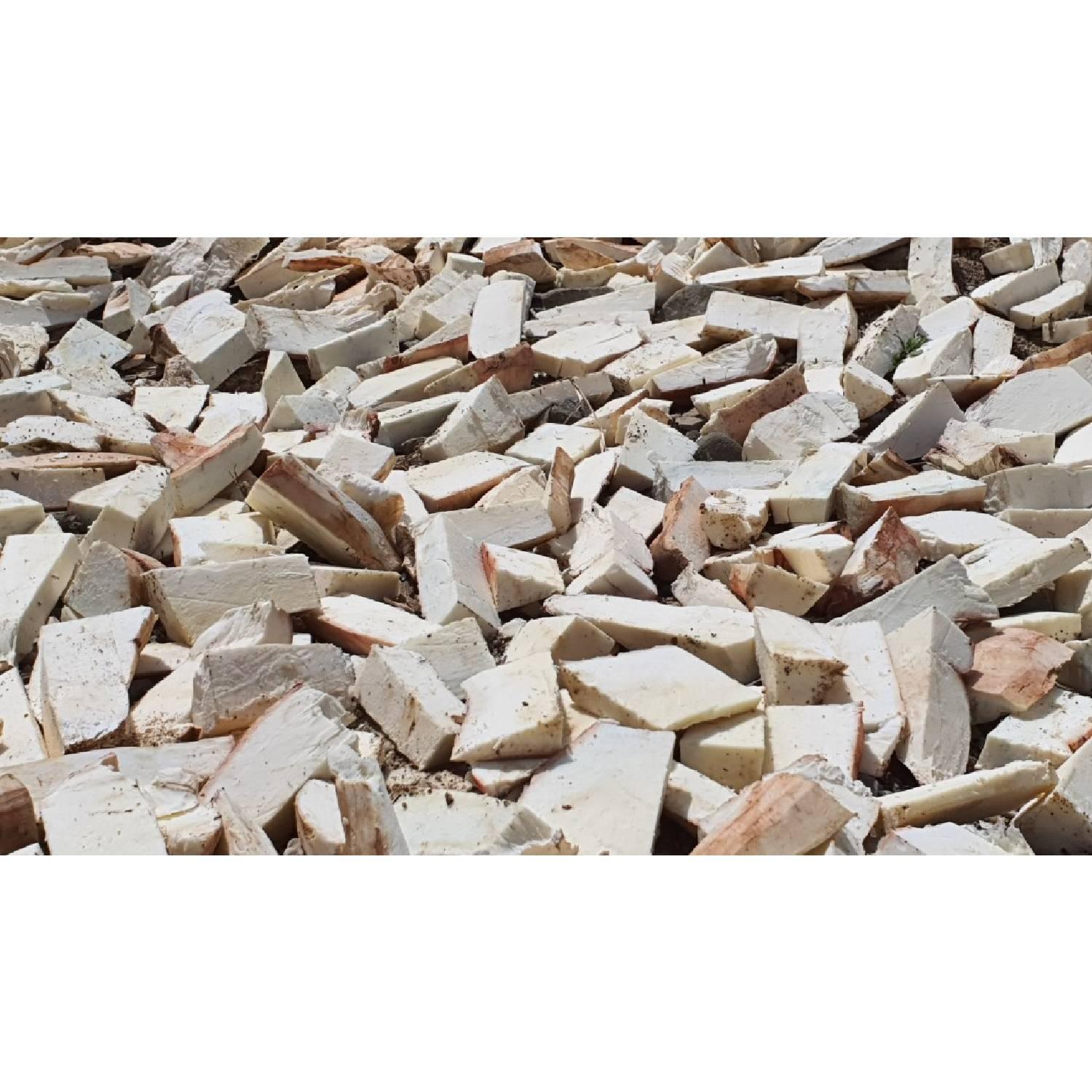 Cassava 20kg 送料込み Amazon.co.jp: 沖縄産キャッサバ1キロ・Okinawa Cassava 1kg (2