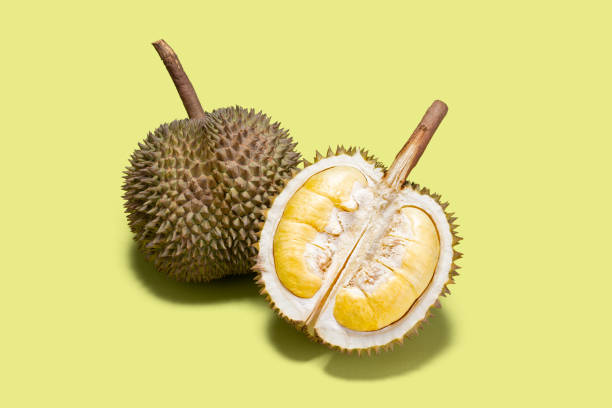 Top 7 Durian Suppliers in Thailand in Week 22 of 2025: Market Analysis & Export Insights