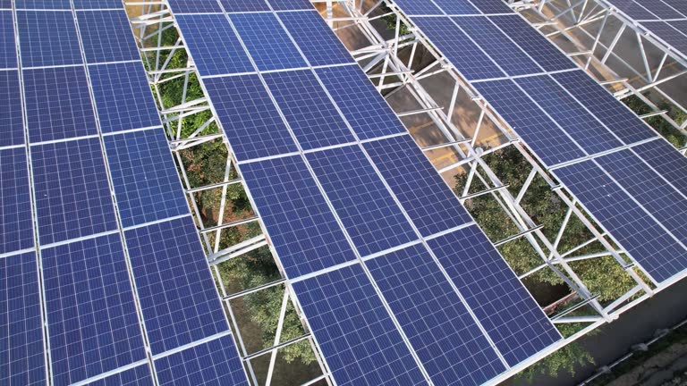 Top 4 Solar Energy System Suppliers in Brazil in August 2025