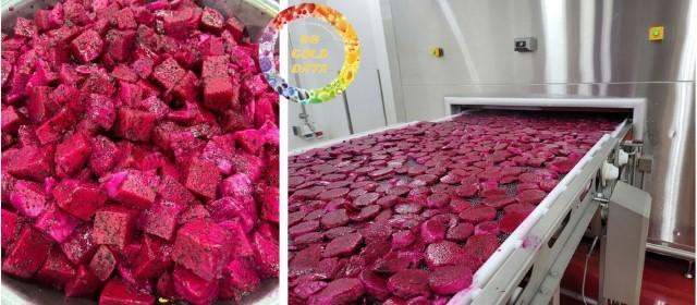Premium Export Quality IQF Frozen Dragon Fruit Sweet Slices Cubes Dices Half-Cut Vacuum Packed Tropical Fruit