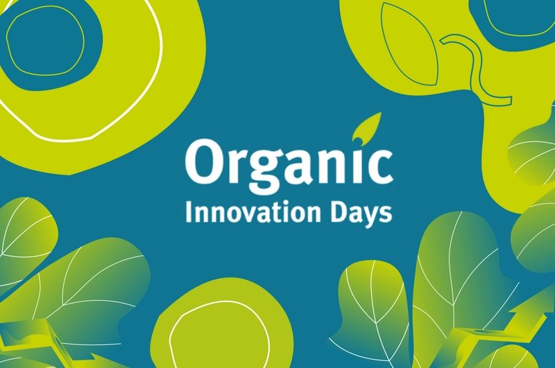 Inside Organic Innovation Days: B2B Key Insights