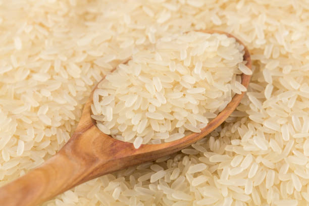 A Comprehensive Guide to Sourcing High-Quality Non Basmati Rice: Top 9 Non Basmati Rice Suppliers in Turkey in Year 2025