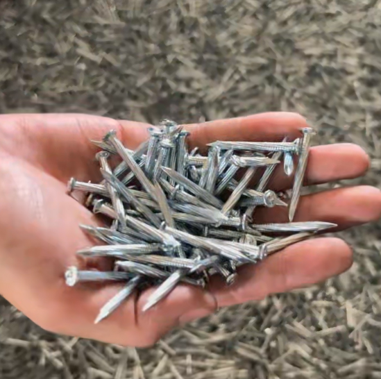 Steel Concrete Nails