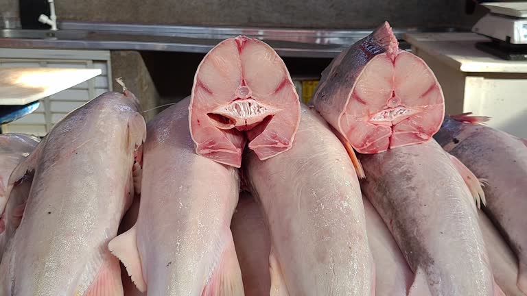 Top 6 Pangasius Suppliers in Switzerland in Quarter 3 of 2025: A Data-Driven Export Analysis