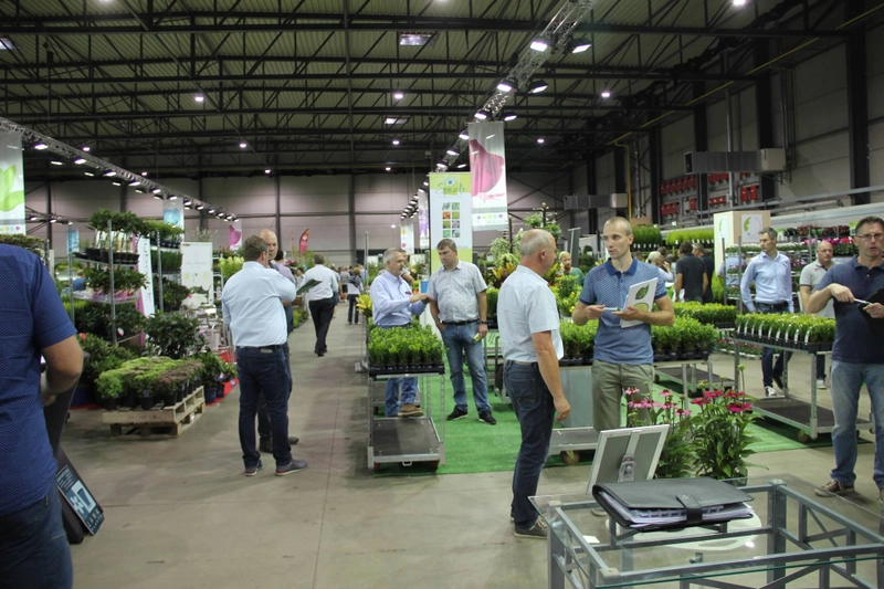 Inside FLORALL: B2B Key Insights