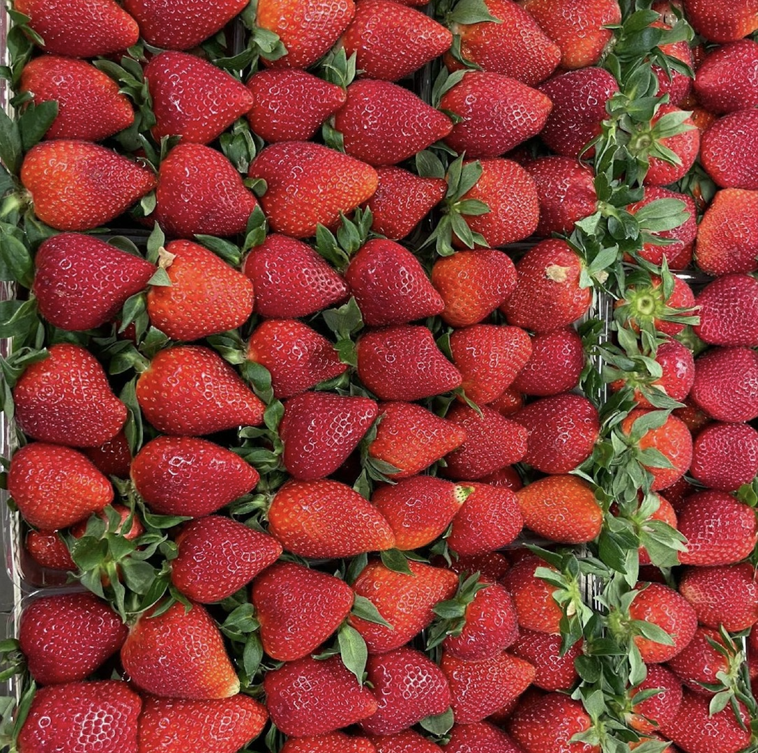 Best Brand Lux Strawberries 25mm Fresh Red Strawberries 10Kg Box Harvested At Optimal Ripeness