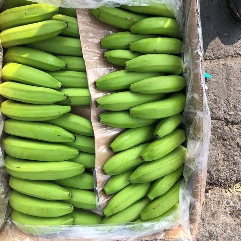 Green Banana available