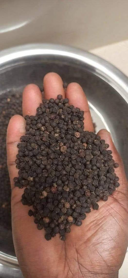 Black Pepper Image 3