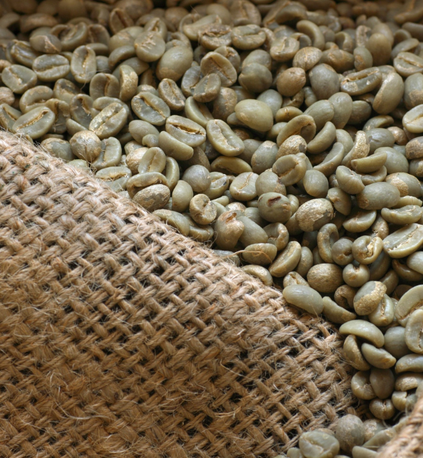 Discover the Top 10 Coffee Suppliers in Indonesia - 8