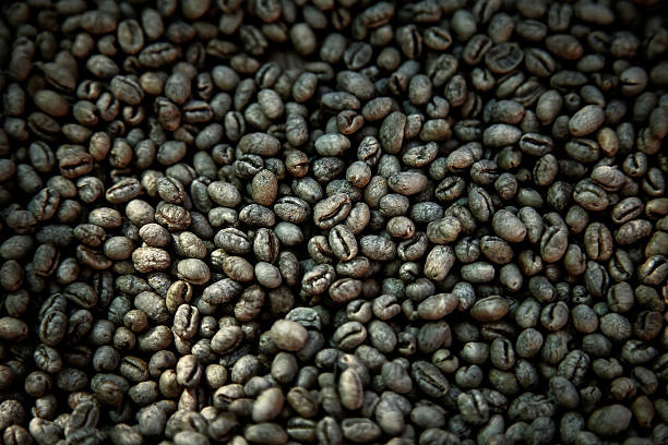 Top 10 Robusta Coffee Suppliers in Spain in Quarter 3 of 2025