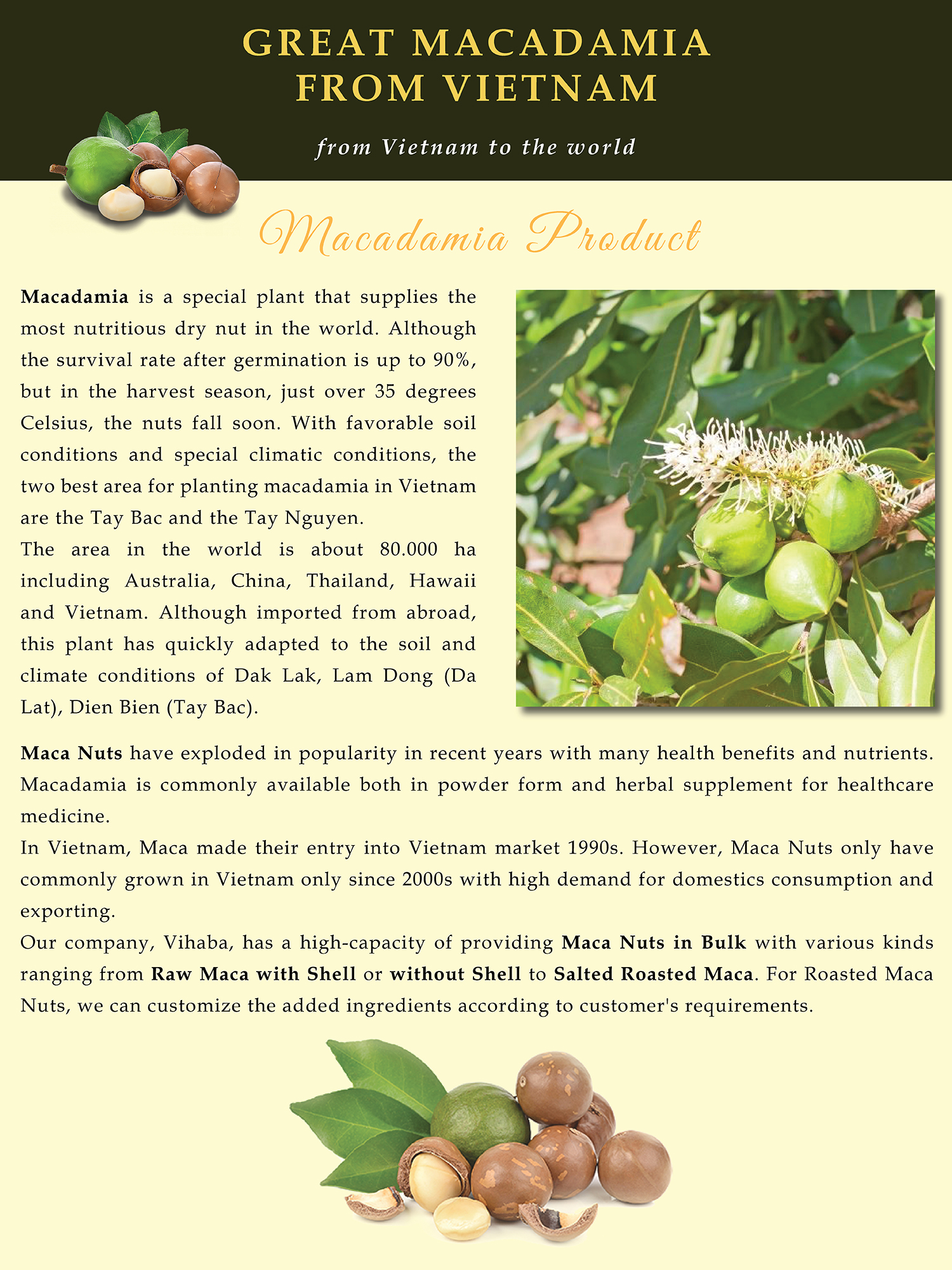 Price Macadamia nut Hand made Dried macca Nut & Kernel Snacks Cracker macadamia
