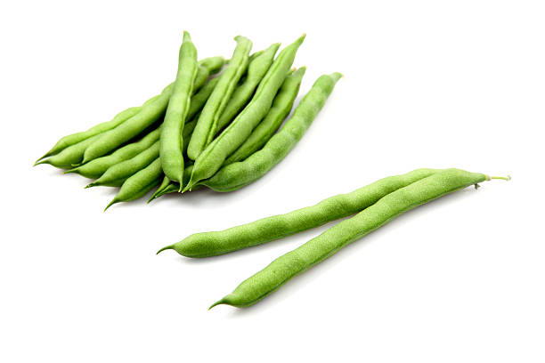 Your Expert Guide to Procuring Top-Tier Bean: Top 6 Bean Suppliers in Sri Lanka in Quarter 3 of 2025