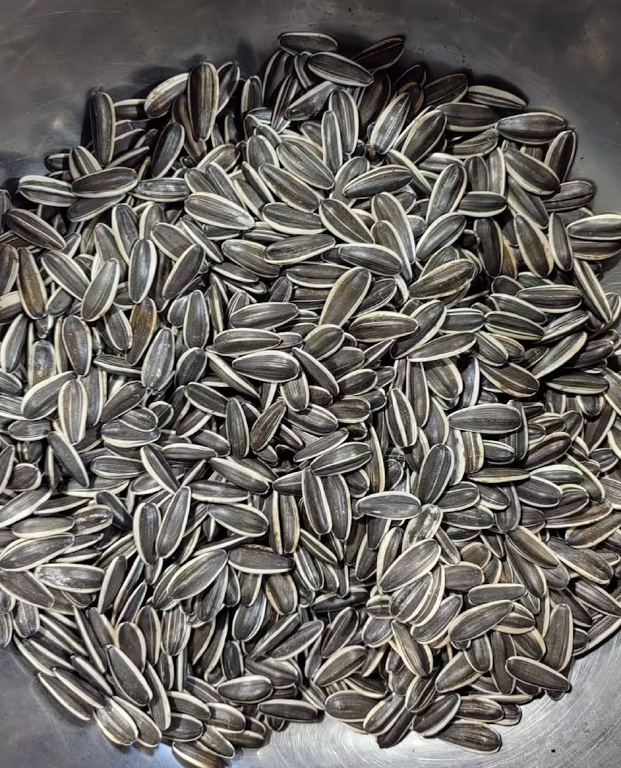 Buy Agricultural Seeds – Premium Plantable Sunflower Seeds High-Quality Seed Grade 1kg,25kg Bags