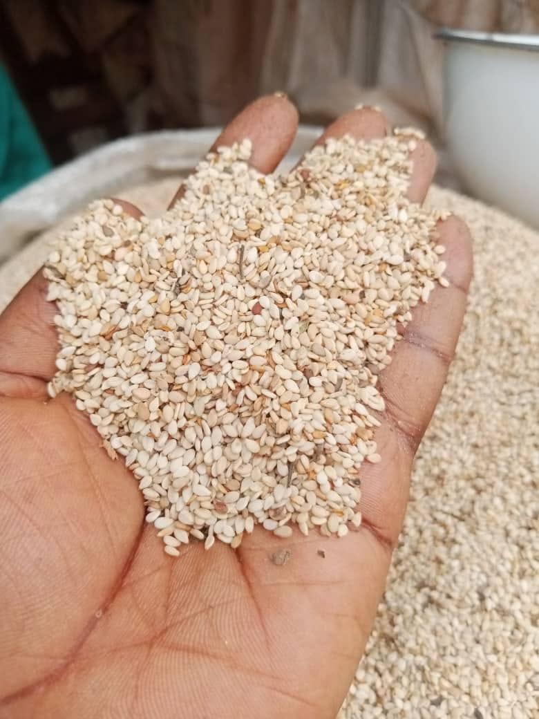 Sesame Seeds Grade Aa Color Whitish Admixture Limit 1% Origin South Africa Fatty Acid Content Limit 2% Processing Method Machine