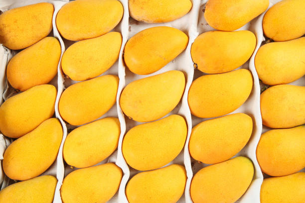 Top 7 Mango Suppliers in Portugal in July 2025: A Data-Driven Guide to Sourcing Excellence