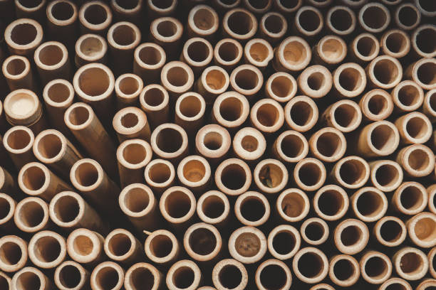 Top 10 Bamboo Products Suppliers in United Arab Emirates in Year 2025