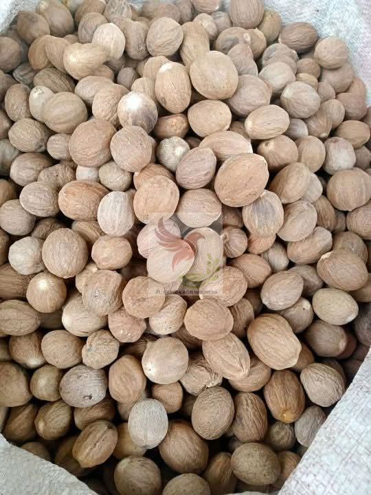 Nutmeg