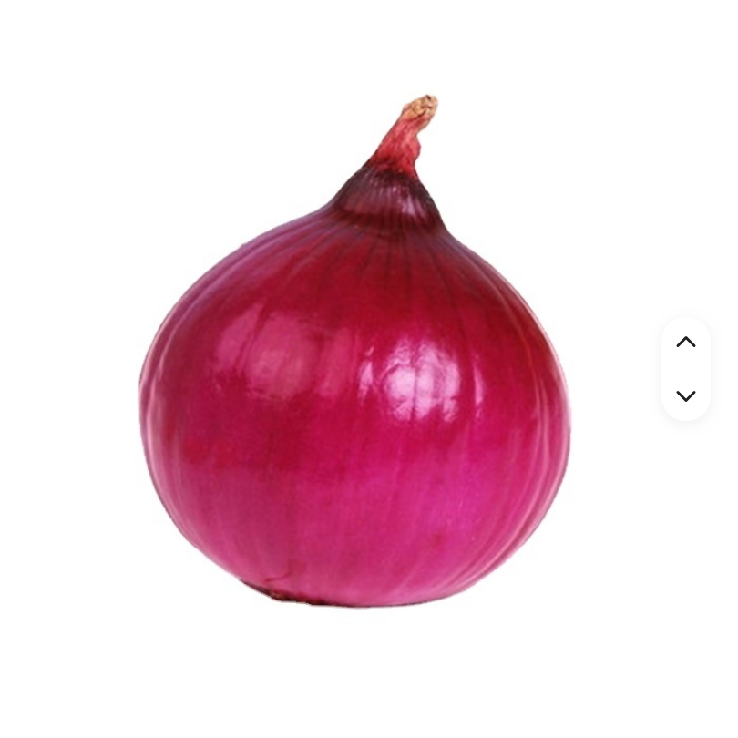 Red Onion Grade 1 Purple Onion Peeled Onion Wholesale