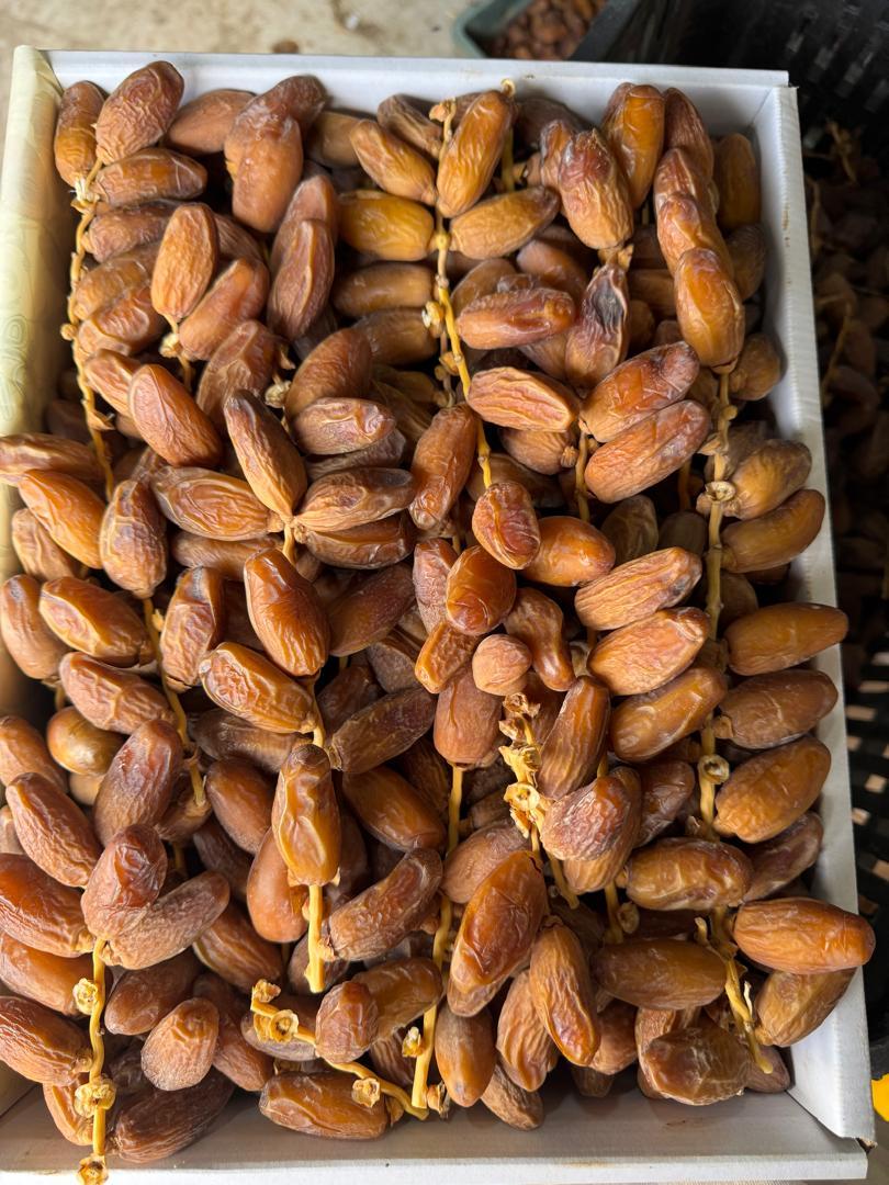 Premium Deglet Nour Dates on Branche - Algerian Origin