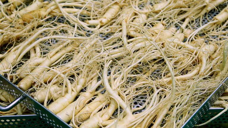 Top 8 Ginseng Suppliers in Germany in July 2025: A Data-Driven Export Insight