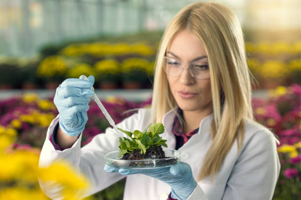 Top 8 Plants Plant Extracts Suppliers in Canada in Quarter 3 of 2025