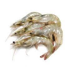 Vannamei White Shrimp