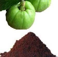 Garcinia Cambogia Powder