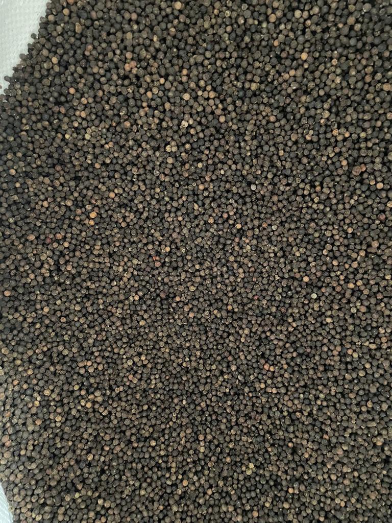 A353ce28839f04883b690e0149ded87aaL