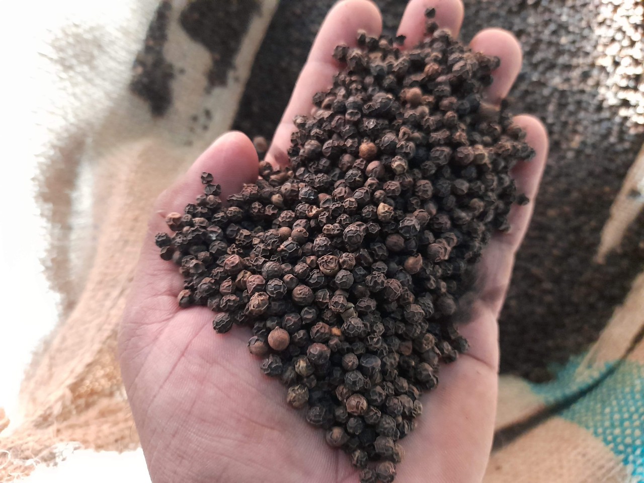 Af42ebdb34d424294a2587f5dd71425a4H