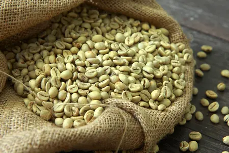 Top 4 verified Arabica Coffee suppliers in United Arab Emirates for Global Buyers - 4