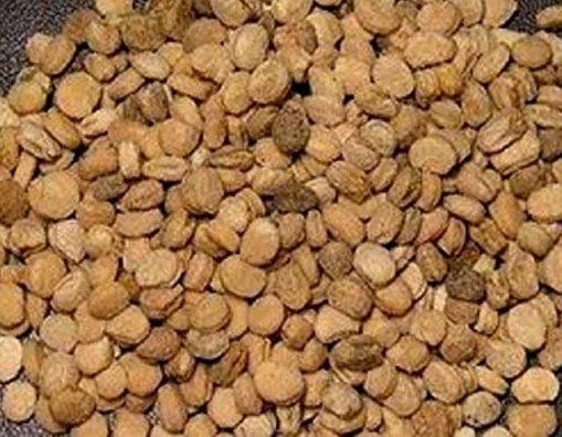 Ginger Seed (Whole Rhizome for Planting)