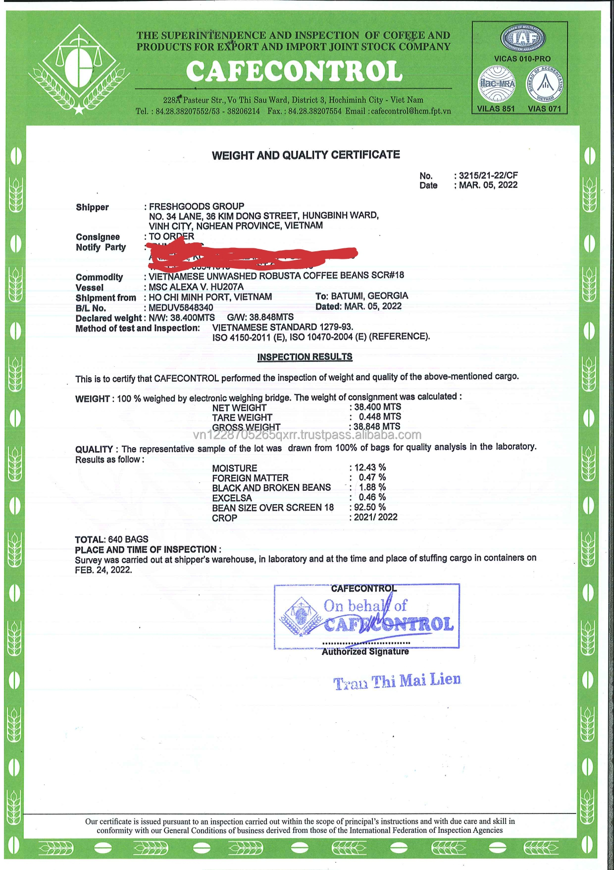 ROBUSTA GREEN COFFEE BEANS SCR#16, VIETNAM ORIGIN, HIGH QUALITY, REASONABLE PRICE (used to make hot beverage, etc.)