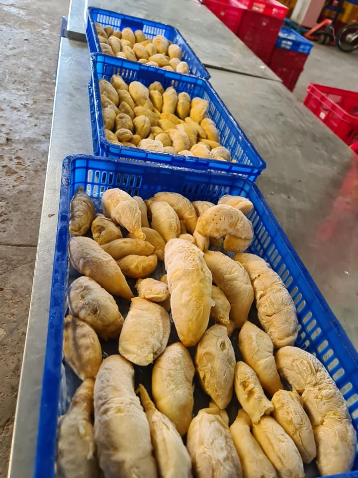 H5cf848d51a1c4b97b775add3bb366b99g