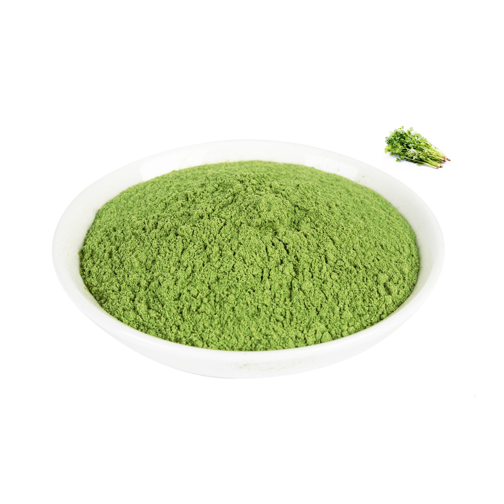 Coriander Leaves Extract Powder Bulk Coriander Seed Powder Coriander Powder