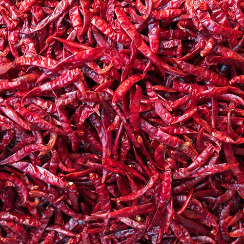 Armoor Red Chilli