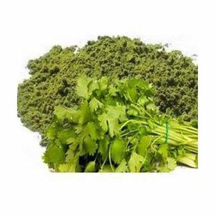 Suppliers high quality coriander leaf powder pure natural organic