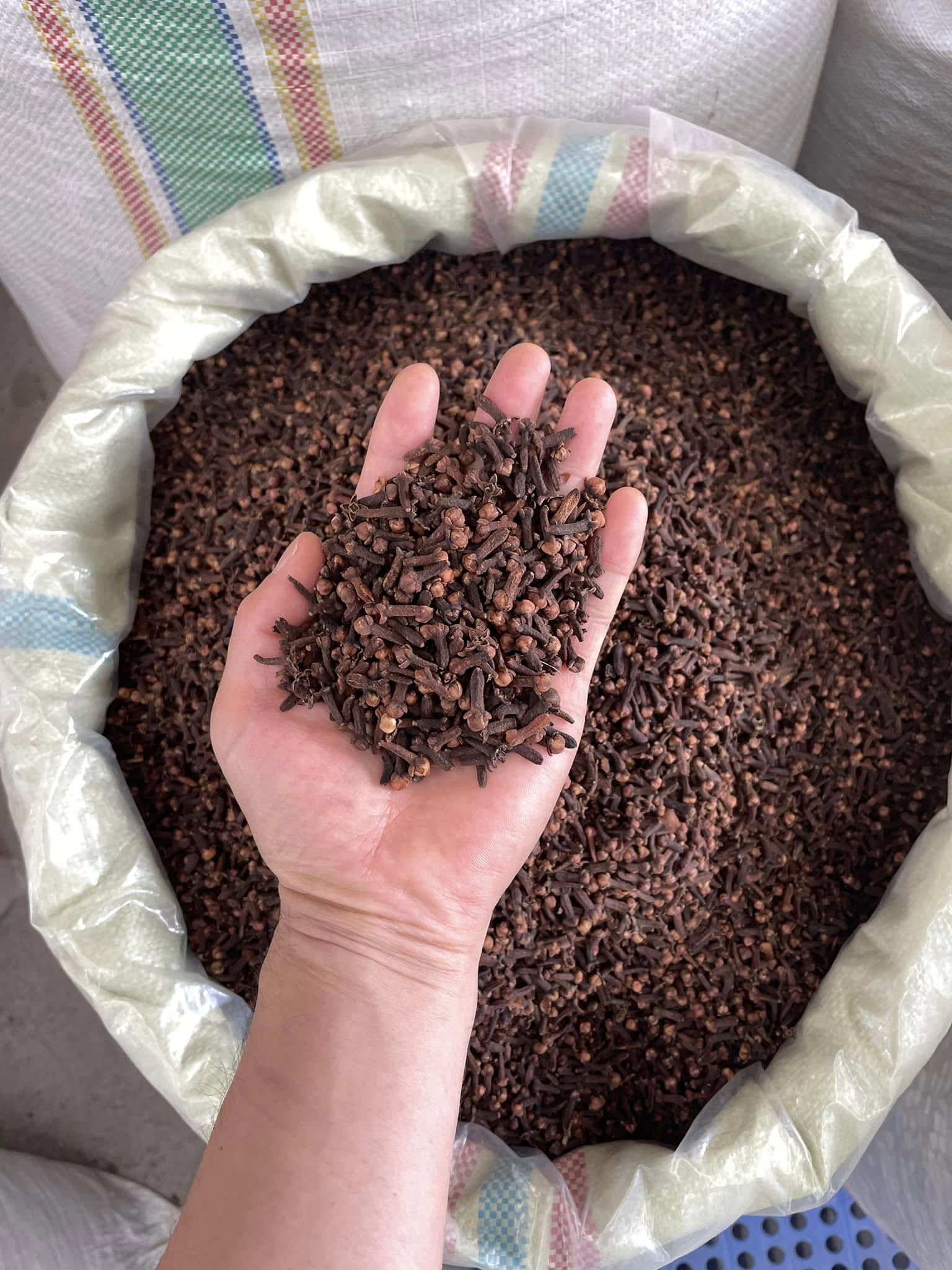 Clove Image