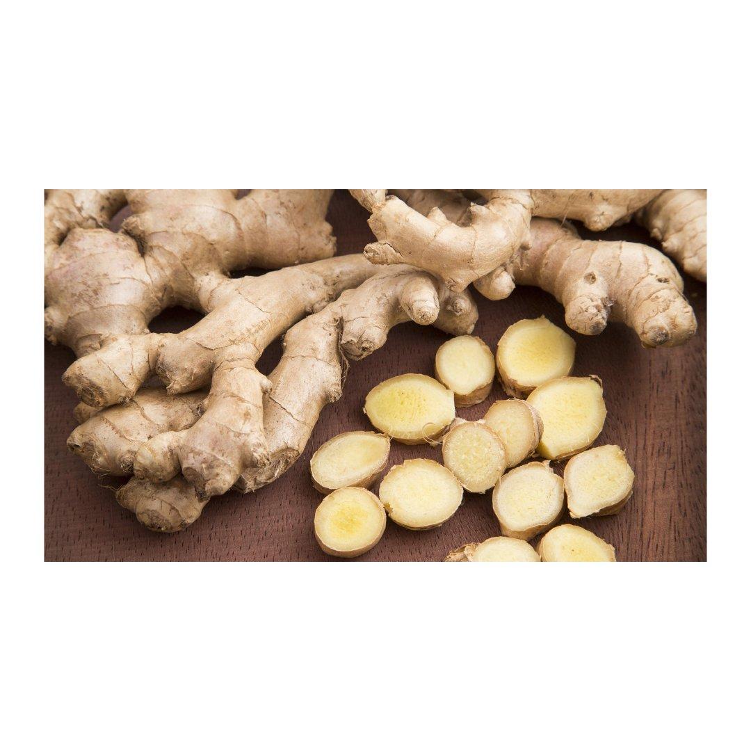 Top 3 verified Fresh Ginger suppliers in United States for global buyers - 3