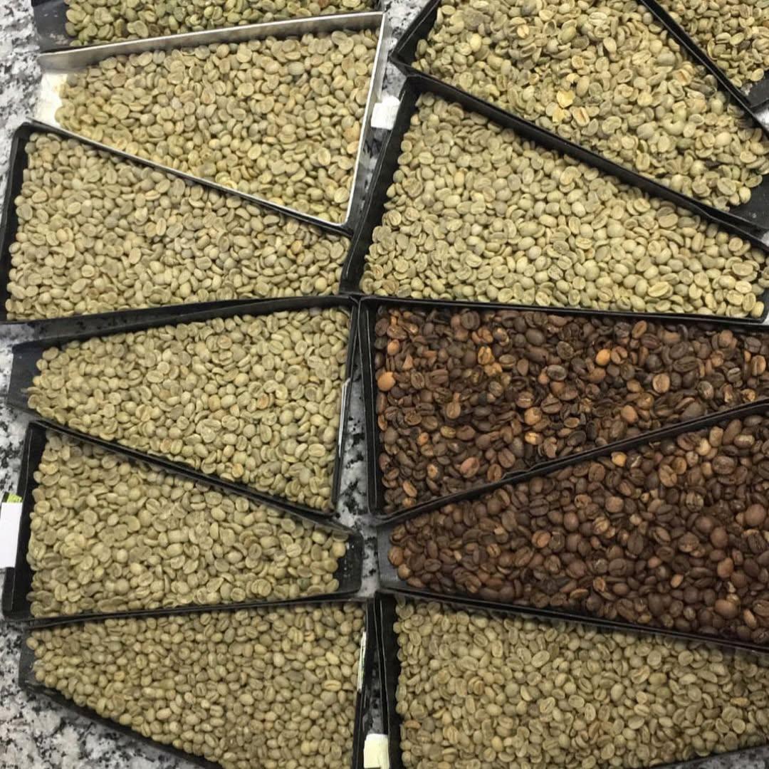 Get to Know the Top 4 Soybean Suppliers in Brazil