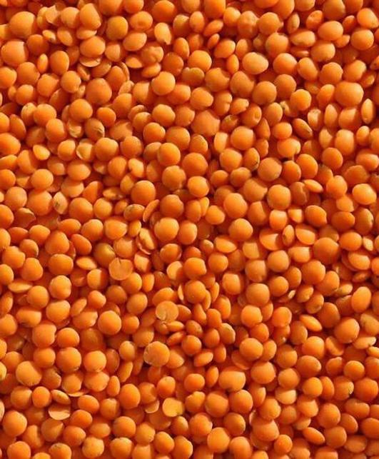 Crimson Lentils