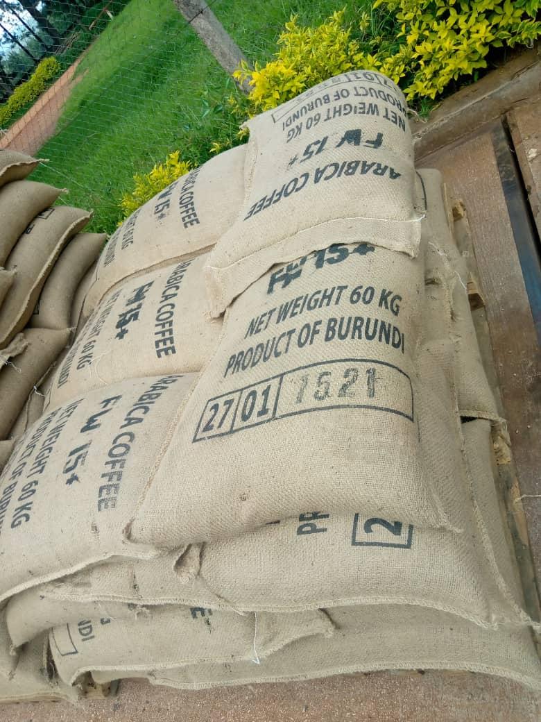 Specialty Arabica Green Coffee Beans