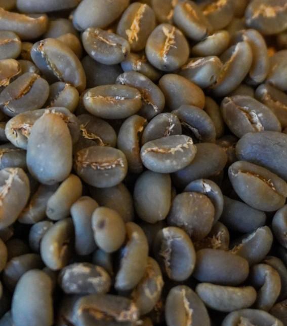 Arabica Java Preanger Beans