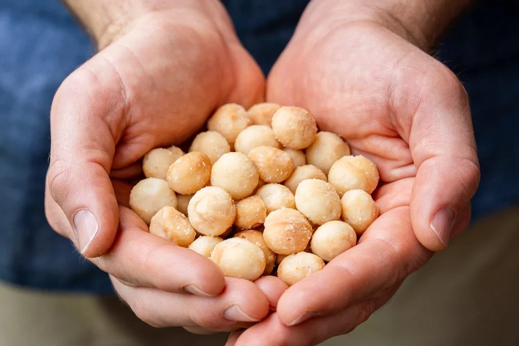 Macadamia Nuts Whole Kernels ≥95% Broken Kernels ≤5% Kernel Size 16–20 mm