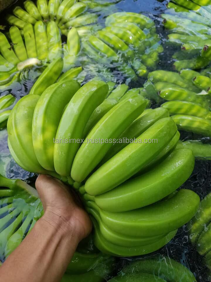 S9c0fa5ce2eba4495b02cd25cc57f56d0m