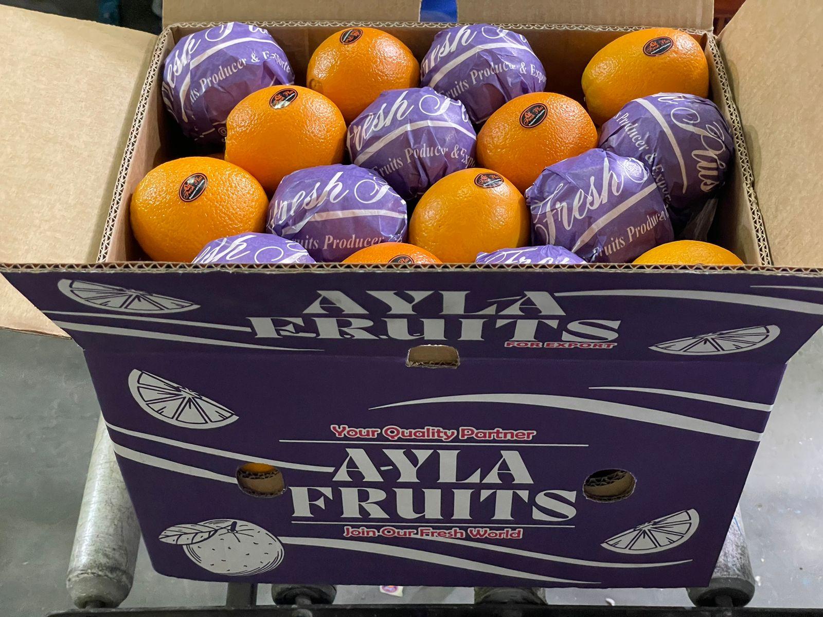 fresh orange Hs Code 080510 Net Weight 15 Kg Gross Weight 16 Kg Pallet Capacity 80 Cartons Package Size
