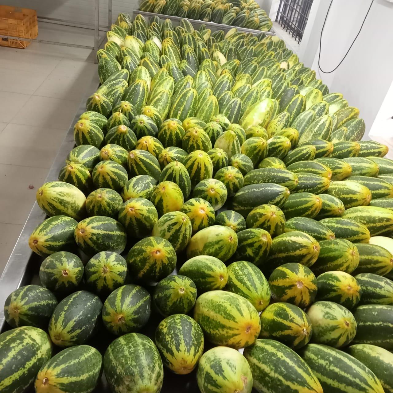 Top 10 verified Fresh Vegetables suppliers in India - 8