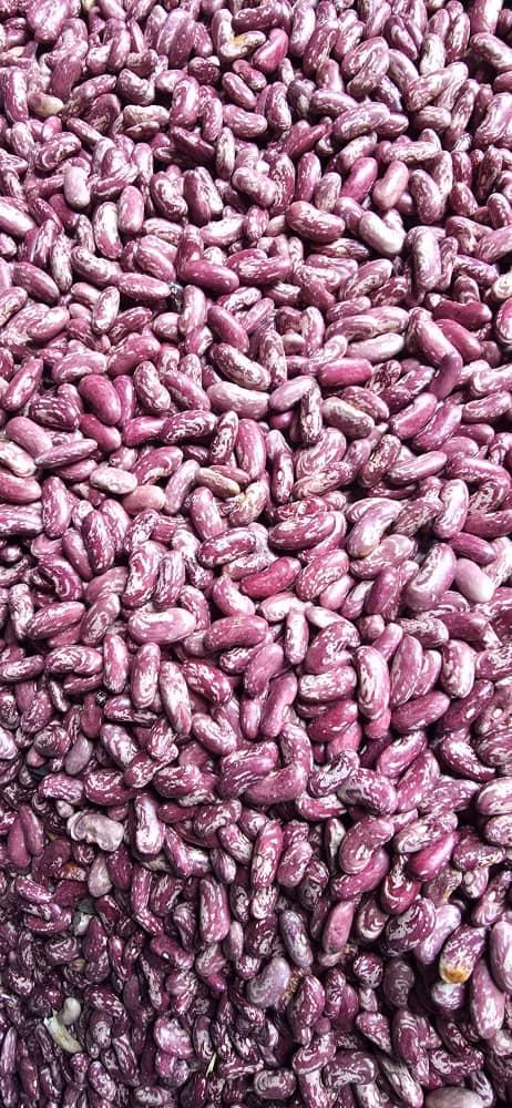 Red White Speckled Kidney Beans