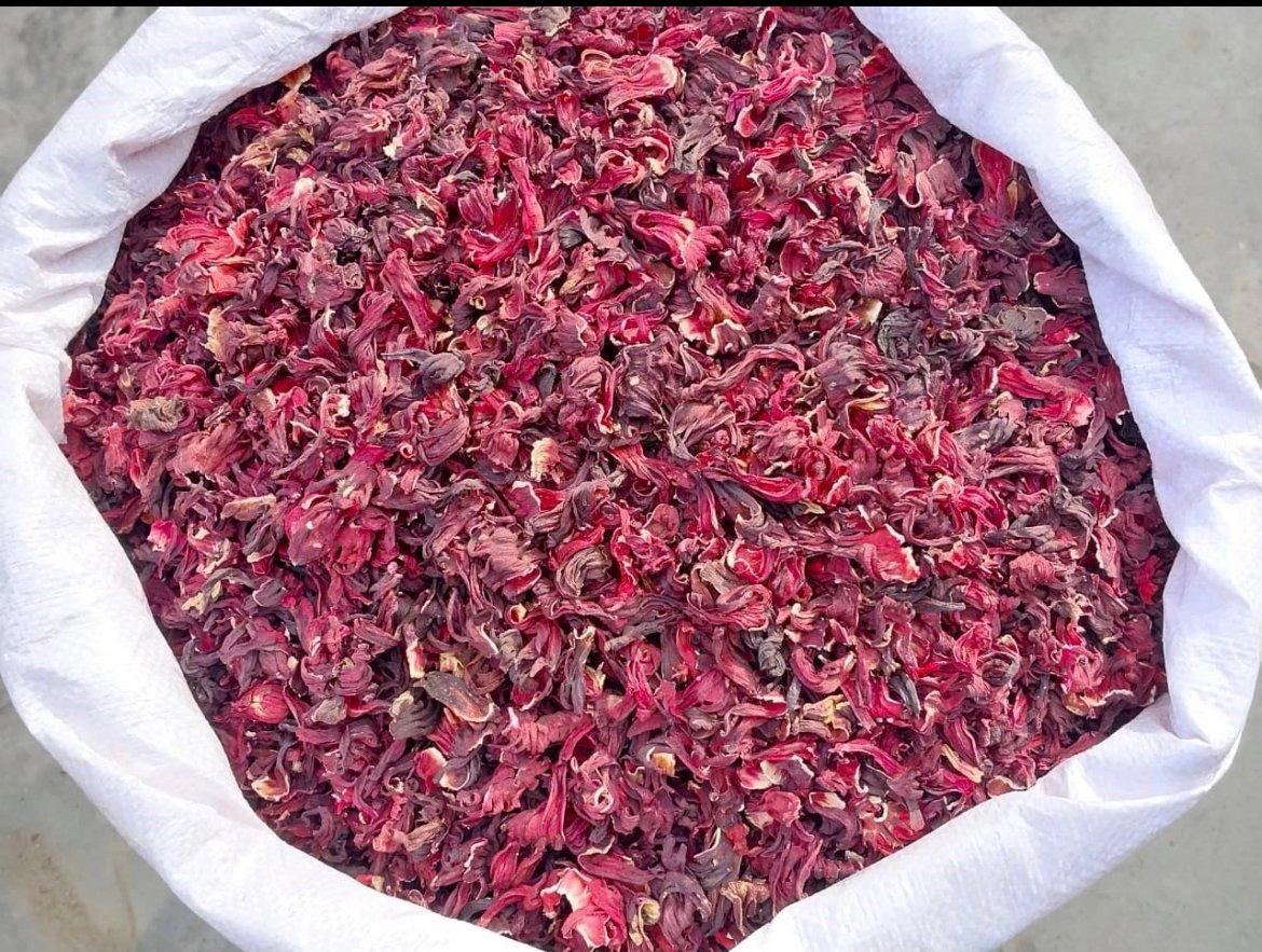 Top 7 Hibiscus suppliers in Egypt — 7 Capabilities Reviewed