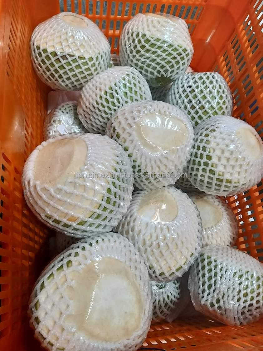 Sc05c51edf636477f91f0a6d89f6006a4t