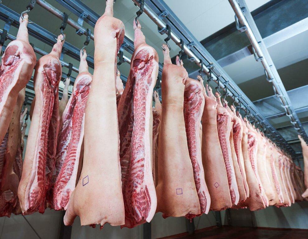 Premium Chilled Goat Meat Carcasses